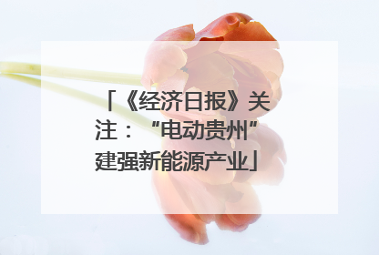 《经济日报》关注：“电动贵州”建强新能源产业