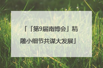 「第9届南博会」精雕小细节共谋大发展