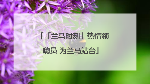 「兰马时刻」热情领嗨员 为兰马站台