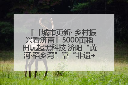 「城市更新· 乡村振兴看济南」5000亩稻田玩起黑科技 济阳“黄河·稻乡湾”靠“非遗+露营”火出圈