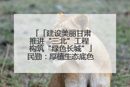 「建设美丽甘肃 推进“三北”工程 构筑“绿色长城”」民勤：厚植生态底色 筑牢绿色屏障