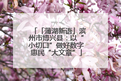 「蒲湖新语」滨州市博兴县：以“小切口”做好数字惠民“大文章”