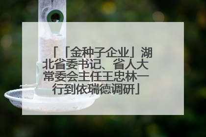 「金种子企业」湖北省委书记、省人大常委会主任王忠林一行到依瑞德调研