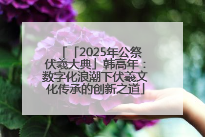 「2025年公祭伏羲大典」韩高年：数字化浪潮下伏羲文化传承的创新之道