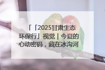 「2025甘肃生态环保行」视觉｜今夏的心动密码，藏在冰沟河的潋滟波光里