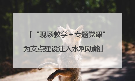 “现场教学＋专题党课”为支点建设注入水利动能