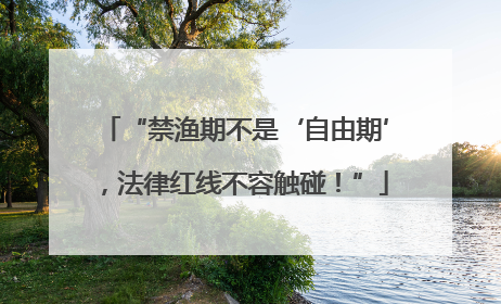 “禁渔期不是‘自由期’，法律红线不容触碰！”
