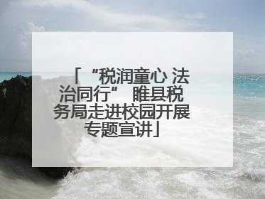 “税润童心 法治同行” 睢县税务局走进校园开展专题宣讲