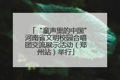 “童声里的中国”河南省文明校园合唱团交流展示活动（郑州站）举行