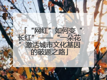 “网红”如何变“长红”——“一朵花”激活城市文化基因的破题之路
