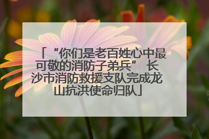 “你们是老百姓心中最可敬的消防子弟兵” 长沙市消防救援支队完成龙山抗洪使命归队