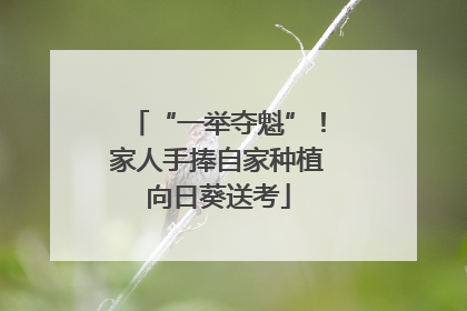 “一举夺魁”！家人手捧自家种植向日葵送考