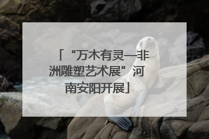 “万木有灵—非洲雕塑艺术展”河南安阳开展