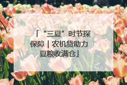 “三夏”时节探保障｜农机贷助力夏粮收满仓