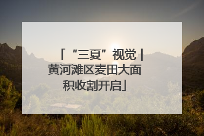 “三夏”视觉｜黄河滩区麦田大面积收割开启