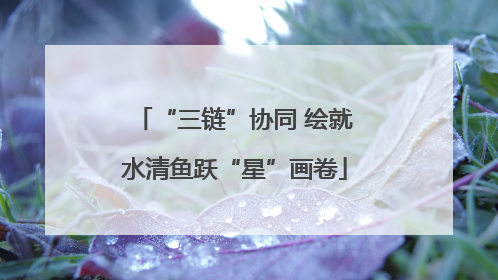 “三链”协同 绘就水清鱼跃“星”画卷