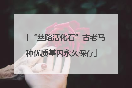 “丝路活化石”古老马种优质基因永久保存