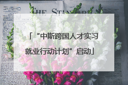 “中斯跨国人才实习就业行动计划”启动