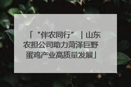 “伴农同行”｜山东农担公司助力菏泽巨野蛋鸡产业高质量发展