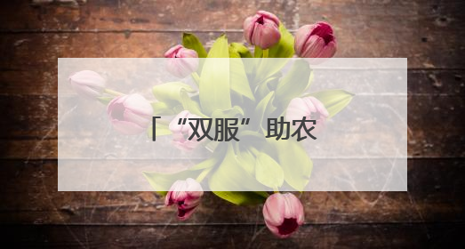 “双服”助农到田头 护航“三夏”正当时