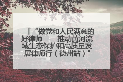 “做党和人民满意的好律师——推动黄河流域生态保护和高质量发展律师行（德州站）”活动成功举办