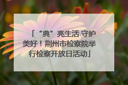“典”亮生活 守护美好！荆州市检察院举行检察开放日活动