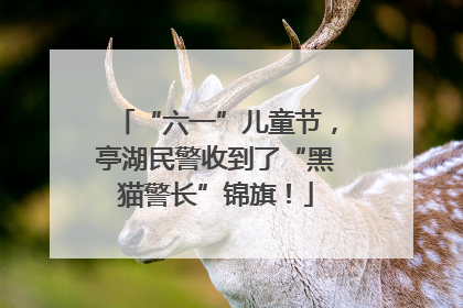 “六一”儿童节，亭湖民警收到了“黑猫警长”锦旗！