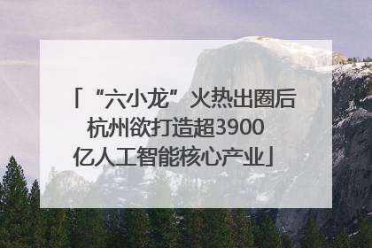 “六小龙”火热出圈后 杭州欲打造超3900亿人工智能核心产业