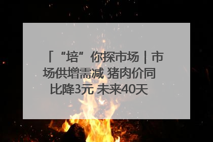 “培”你探市场｜市场供增需减 猪肉价同比降3元 未来40天便宜猪肉敞开吃