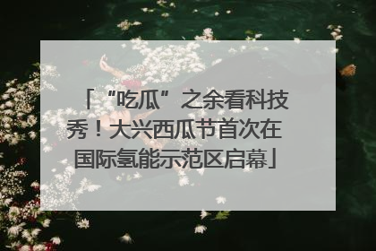 “吃瓜”之余看科技秀！大兴西瓜节首次在国际氢能示范区启幕
