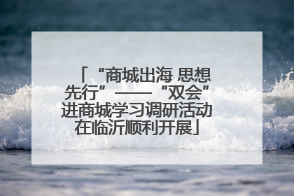 “商城出海 思想先行”——“双会”进商城学习调研活动在临沂顺利开展