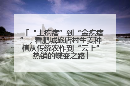 “土疙瘩”到“金疙瘩”，看肥城旅店村生姜种植从传统农作到“云上”热销的蝶变之路