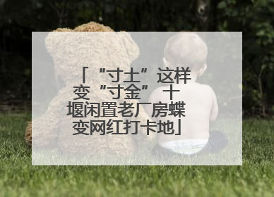 “寸土”这样变“寸金” 十堰闲置老厂房蝶变网红打卡地