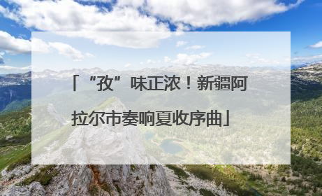 “孜”味正浓！新疆阿拉尔市奏响夏收序曲