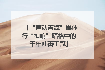 “声动青海”媒体行“扣响”暗格中的千年吐蕃王冠