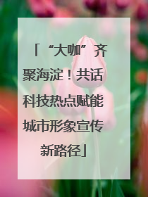 “大咖”齐聚海淀！共话科技热点赋能城市形象宣传新路径