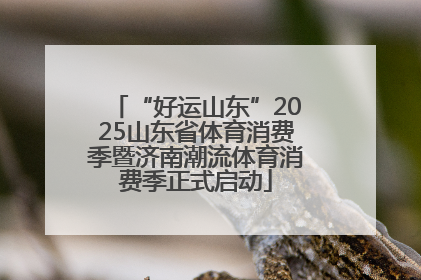 “好运山东”2025山东省体育消费季暨济南潮流体育消费季正式启动