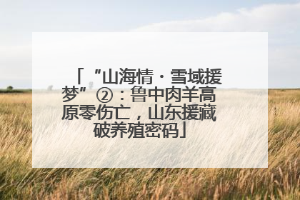 “山海情・雪域援梦”②：鲁中肉羊高原零伤亡，山东援藏破养殖密码