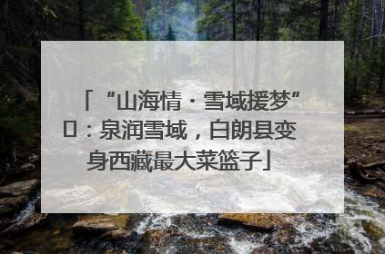 “山海情・雪域援梦”⑪：泉润雪域，白朗县变身西藏最大菜篮子