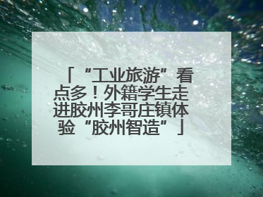 “工业旅游”看点多！外籍学生走进胶州李哥庄镇体验“胶州智造”
