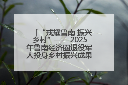 “戎耀鲁南 振兴乡村”——2025年鲁南经济圈退役军人投身乡村振兴成果展销会盛大启幕