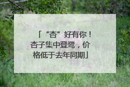 “杏”好有你！杏子集中登鹭，价格低于去年同期
