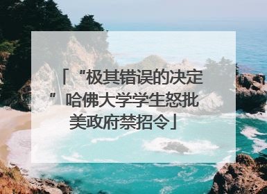 “极其错误的决定”哈佛大学学生怒批美政府禁招令