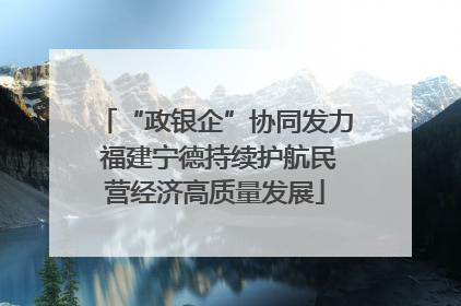 “政银企”协同发力 福建宁德持续护航民营经济高质量发展