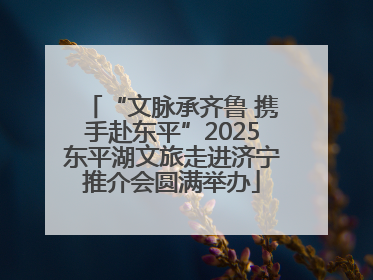“文脉承齐鲁 携手赴东平”2025东平湖文旅走进济宁推介会圆满举办