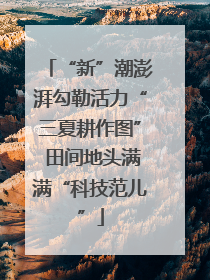 “新”潮澎湃勾勒活力“三夏耕作图” 田间地头满满“科技范儿”