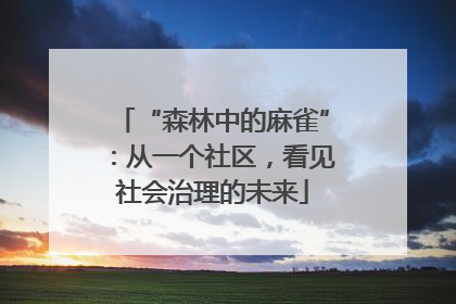 “森林中的麻雀”：从一个社区，看见社会治理的未来