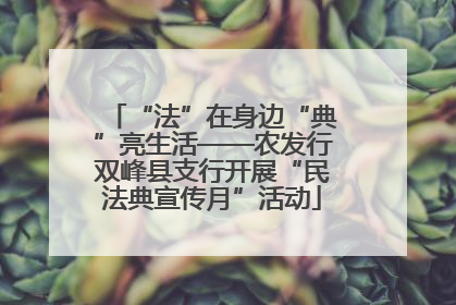 “法”在身边“典”亮生活——农发行双峰县支行开展“民法典宣传月”活动