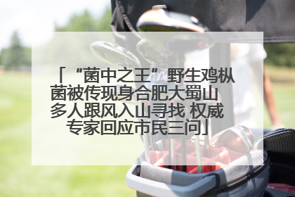 “菌中之王”野生鸡枞菌被传现身合肥大蜀山 多人跟风入山寻找 权威专家回应市民三问