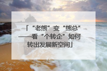 “老熊”变“熊总”——看“个转企”如何转出发展新空间